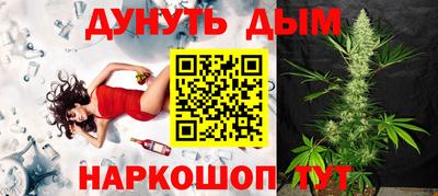 прущие грибы Брянск
