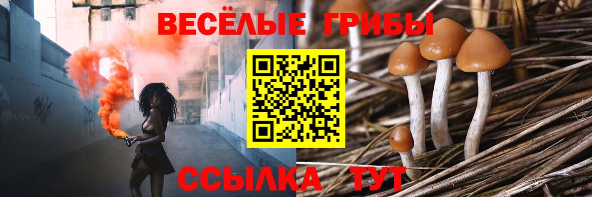 Елабуга  Псилоцибиновые грибы MAGIC MUSHROOMS  Вход с VPN 